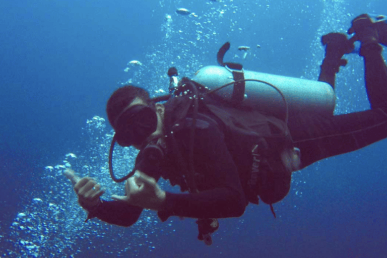 Phi Phi: Scuba diving with Portuguese speaking instructor Phi Phi Island: Scuba diving with Portuguese instructor