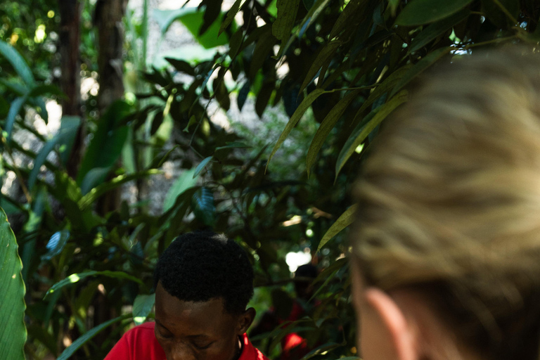 Zanzibar: Ilha de Mnemba e excursão à fazenda de especiarias, Jozani, The Rock