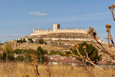 From Madrid to Castilla & León: Hidden Vineyards and Towns