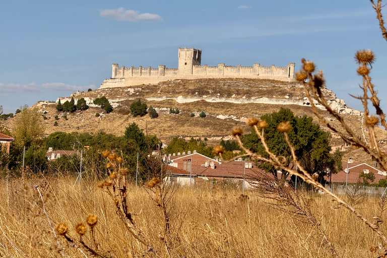 From Madrid to Castilla & León: Hidden Vineyards and Towns
