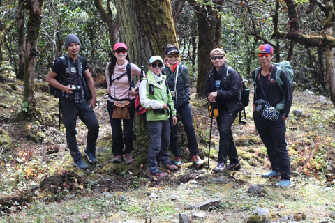 Journey Through Langtang: A 6-Day Trek with Meals