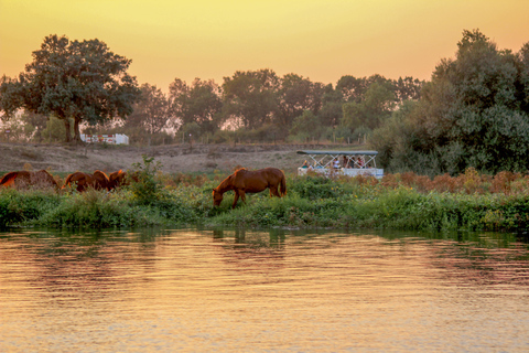 Valada: 1 hour boat trip, guided tour