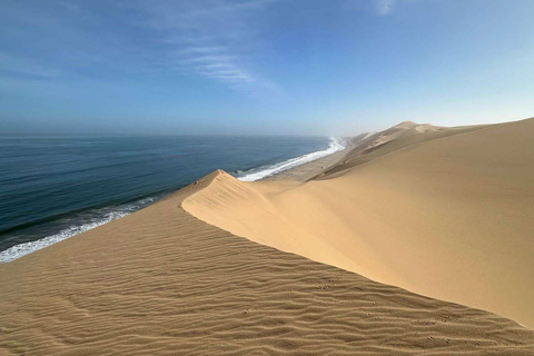 Small Group Sandwich Harbour 4x4 tour where dunes meet ocean