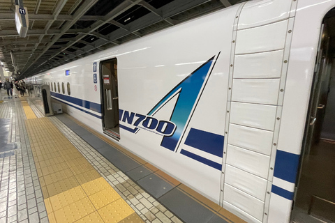 Kyoto Day Trip from Tokyo by Bullet Train Private Tour