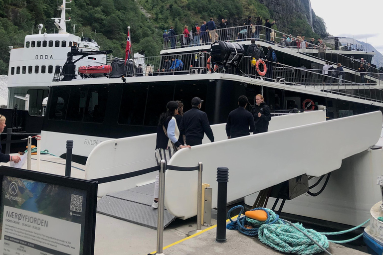 Desde Bergen: excursión de un día con el ferrocarril de Flam y crucero por los fiordos