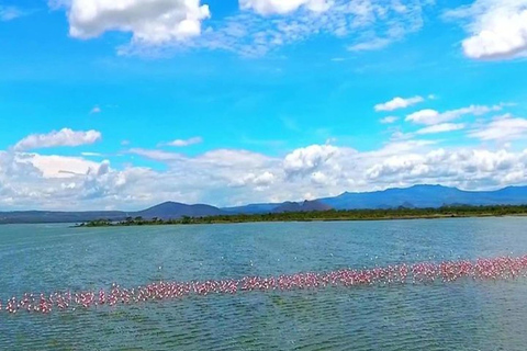 2-Days Lake Elementaita National Park Safari