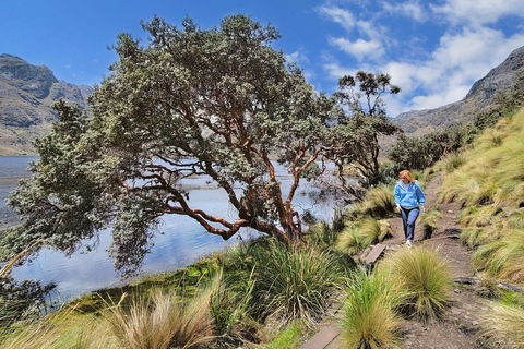 Tour di un giorno intero del Parco Nazionale di Cajas con pranzoTour condiviso con pranzo