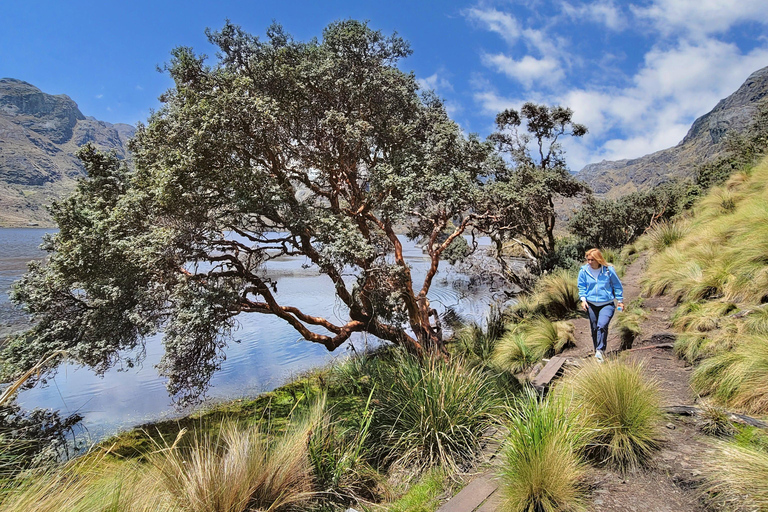 Tour di un giorno intero del Parco Nazionale di Cajas con pranzoTour condiviso con pranzo