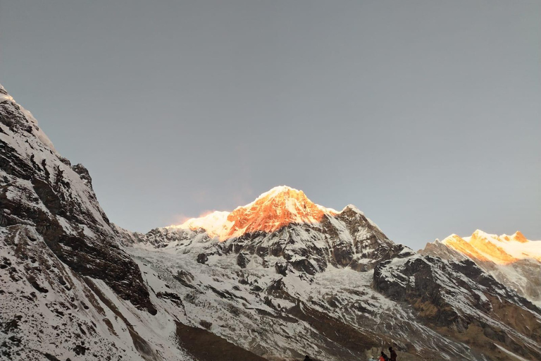 7 Day Annapurna Base Camp Trek with Guide