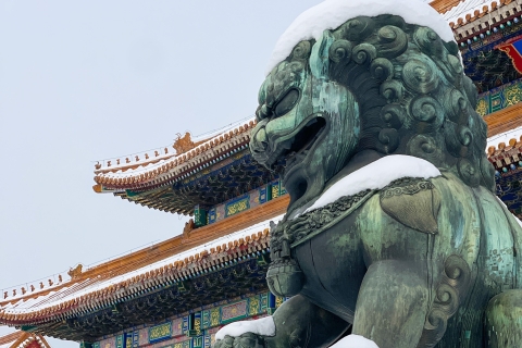 Höhepunkte der Stadtführung durch die Verbotene StadtVerbotene Stadt+Tian'anmen-Platz+privater Guide