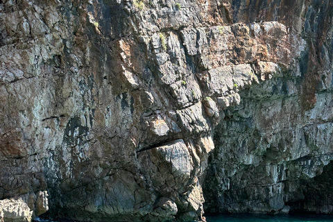 Kotor: prywatna wycieczka łodzią po Zatoce Kotor i Błękitnej Jaskini z drinkiemKOTOR: Prywatna wycieczka łodzią do Błękitnej Jaskini i Zatoki Kotorskiej + bezpłatne napoje