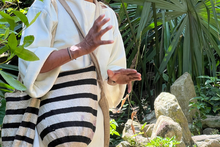 Parco Tayrona 2 giorni e 1 notte. Un percorso ancestrale.