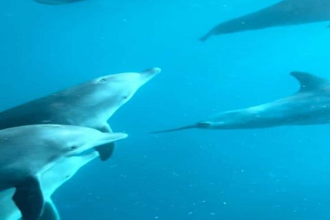 Zanzibar: tour privato dell'isola di MnembaTour privato. Non c'è il servizio di prelievo in hotel e non c'è il pranzo.