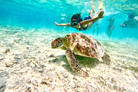 Private Snorkeling Trip To Gili Trawangan,Gili Meno,Gili Air Pick up from : Senggigi Area/Mataram Area