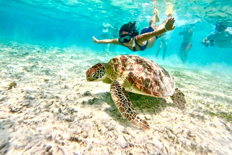 Private Snorkeling Trip To Gili Trawangan,Gili Meno,Gili Air Pick up from : Senggigi Area/Mataram Area