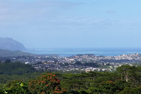 Ko’olau Waterfall Hike & Downhill Bike
