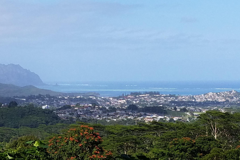 Ko’olau Waterfall Hike & Downhill Bike