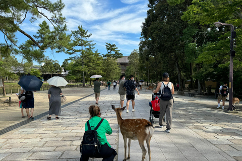 Nara : Visite guidée à pied avec le Grand Bouddha et les daims(5h)