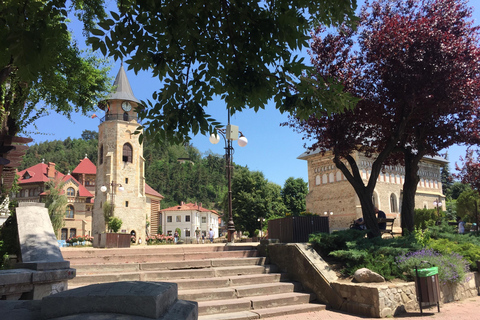 Piatra Neamț: Guided tours of the Moldavian Pearl of Romania
