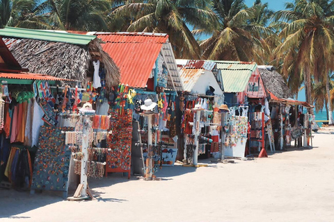 Punta Cana: Saona Island with Hotel Pickup