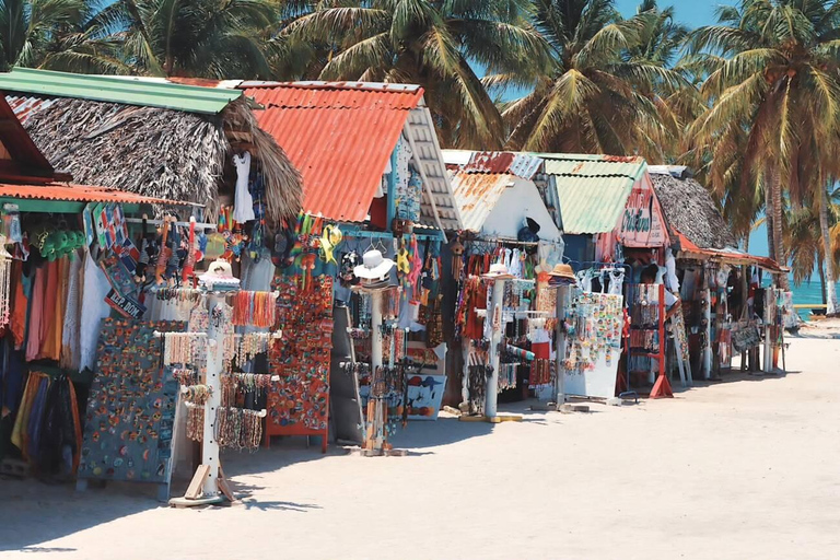 Punta Cana: Saona Island with Hotel Pickup