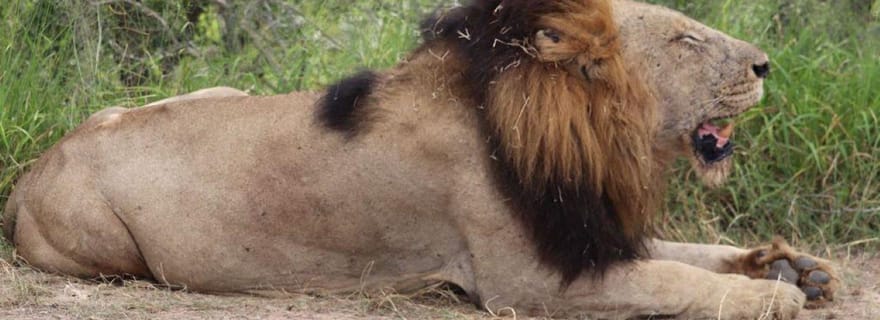 Parc national Kruger,