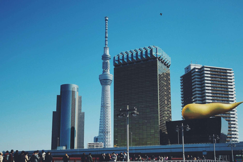 From Tokyo: Tokyo Full Day Private Sightseeing City Tour ITINERARY B:Tokyo Private Customized Tour With English Guide