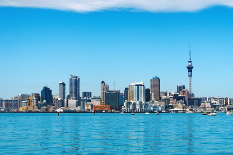 Das Beste von Auckland: Private Tour zu Fuß mit einem EinheimischenPrivate Stadtführung - 2Hr