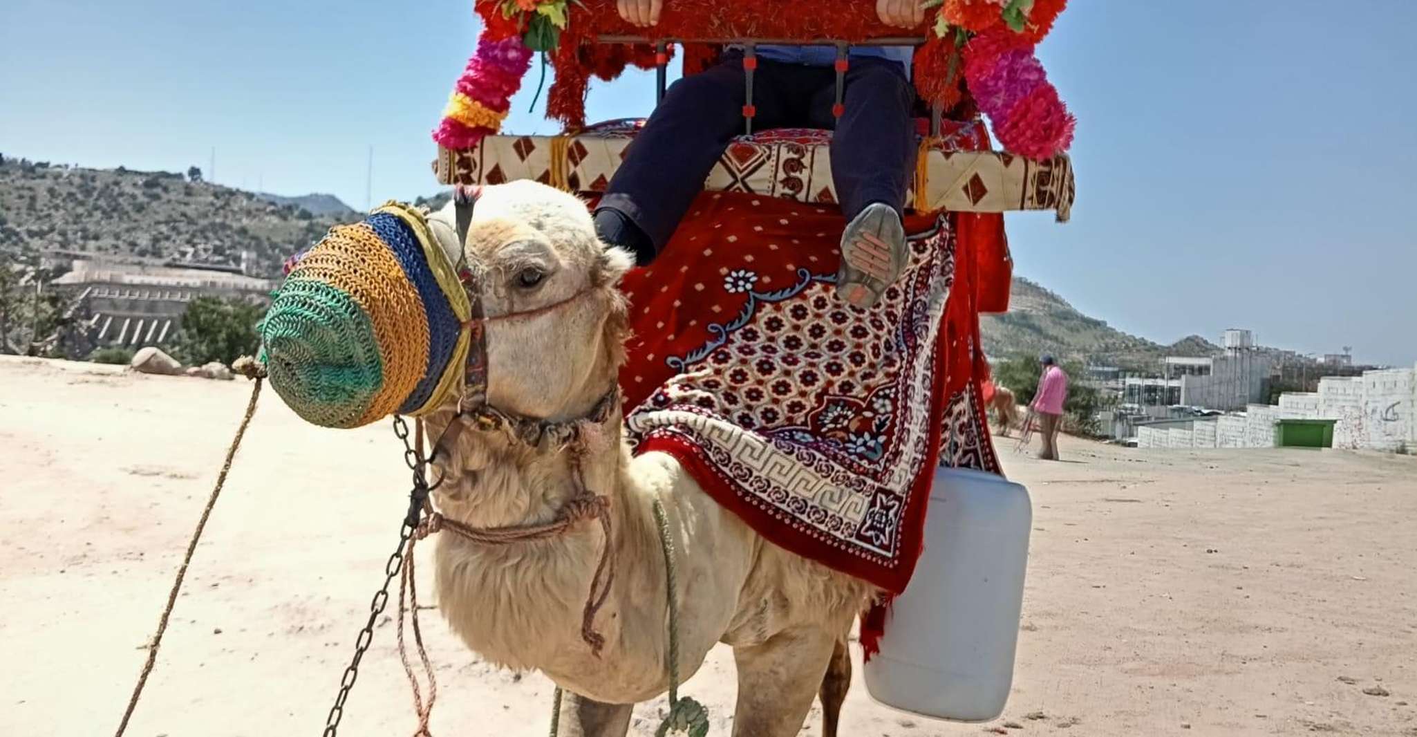 From Jeddah: Full-Day Tour To Taif photo 3