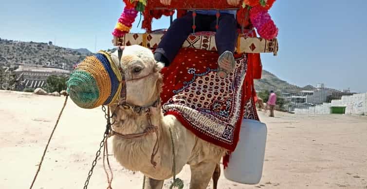 From Jeddah: Full-Day Tour To Taif photo 3