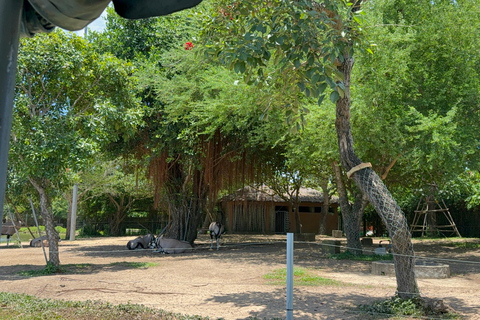 فينبيرل فينووندرز نام هوي آن مع سفاري وحديقة مائيةجولة خاصة بدون بوفيه أو عربة