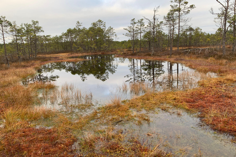 Nord de l'Estonie : circuit nature et mystère