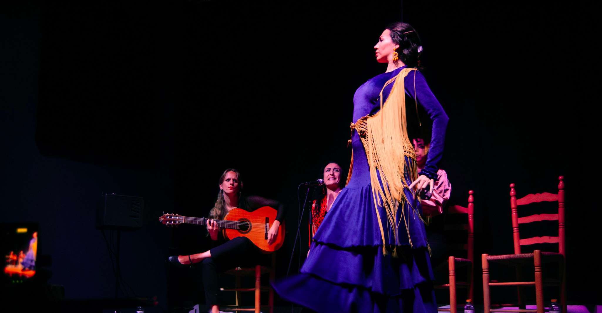 Valencia, Flamenco Show at Ca Revolta Theater - Housity