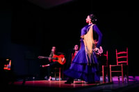 Valencia, Flamenco Show at Ca Revolta Theater - Housity