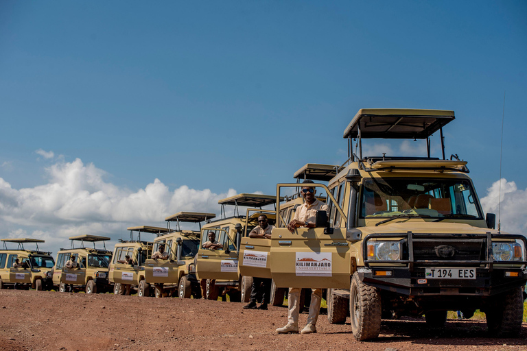 Arusha : excursion d&#039;une journée au cratère du Ngorongoro avec déjeuner