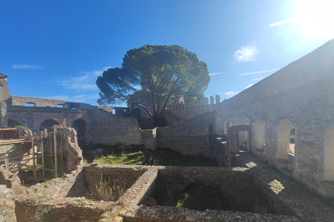 From Lisbon: Medieval Tour, Batalha, Tomar, Alcobaça, Óbidos Private Tour Option