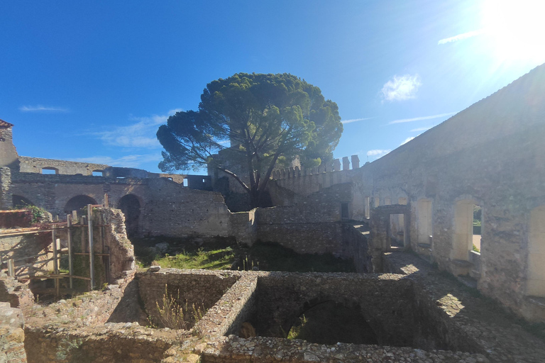 From Lisbon: Medieval Tour, Batalha, Tomar, Alcobaça, Óbidos Private Tour Option