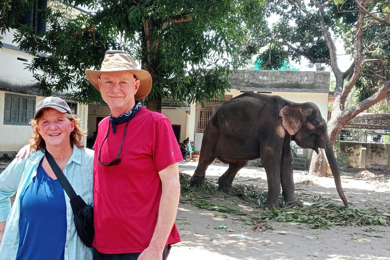 Kochi: Tuk-Tuk Tour with Cruise Ship Terminal Pickup