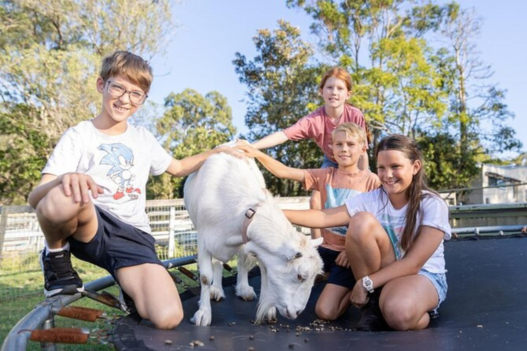 Brisbane: Trevena Glen Farm 1 uur dierenervaring