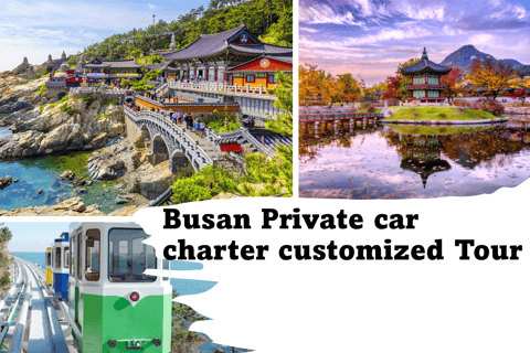 Tour privado de la ciudad de Busan en coche charterServicios de alquiler de coches privados en Busan