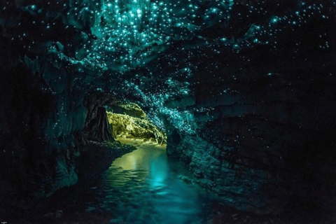 Private Day Tour: Waitomo Glowworms & Hobbiton Movie Set