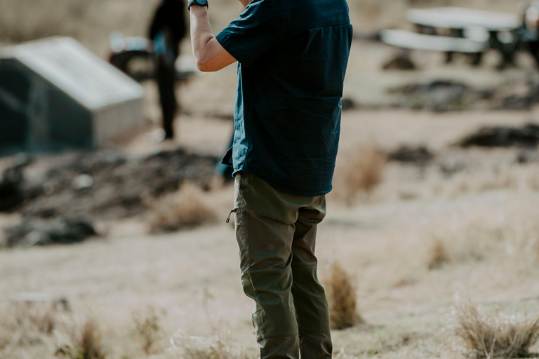 Arusha: Ngorongoro Crater & Tarangire 2-Day Safari Tour