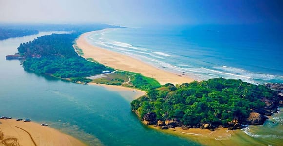 Bentota: Madu River Safari, Turtle Conservation & Beach Day