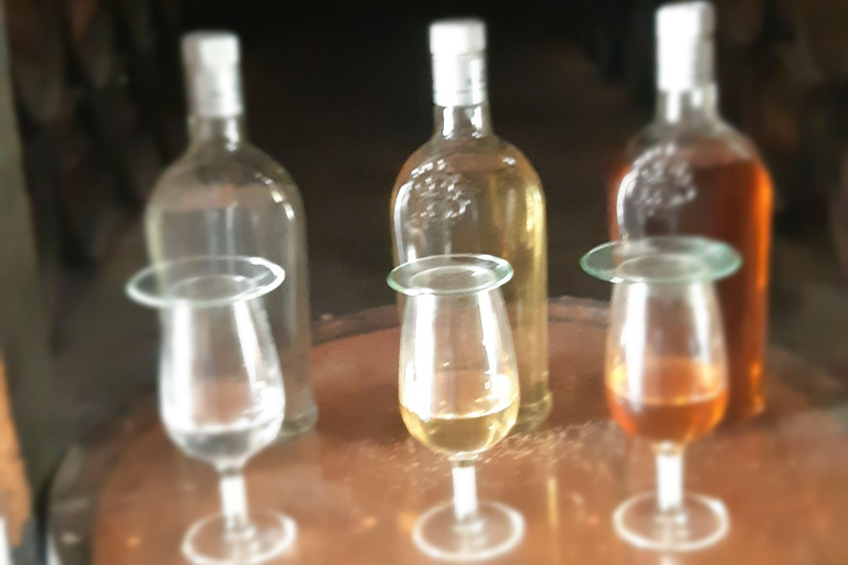 Punta Cana: Viagem Privada de Meio Dia Cultural com Sabores DominicanosPunta Cana: viagem cultural privada de meio dia pelos sabores dominicanos