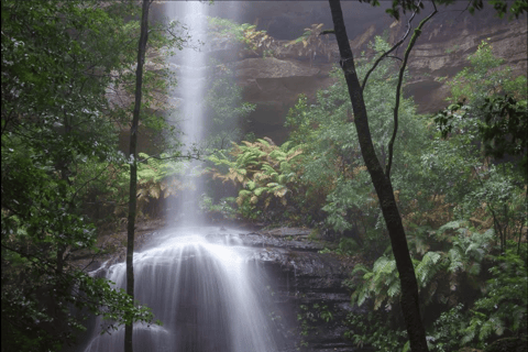 Blue Mountains Active Hike Tour from Sydney: No Rides Sydney: Blue Mountains Active Eco-Hike Tour (No Rides)