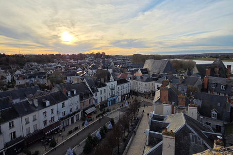 Loire Valley Wine Tour from Paris: 2 Wineries & 10 Tastings Premium Option