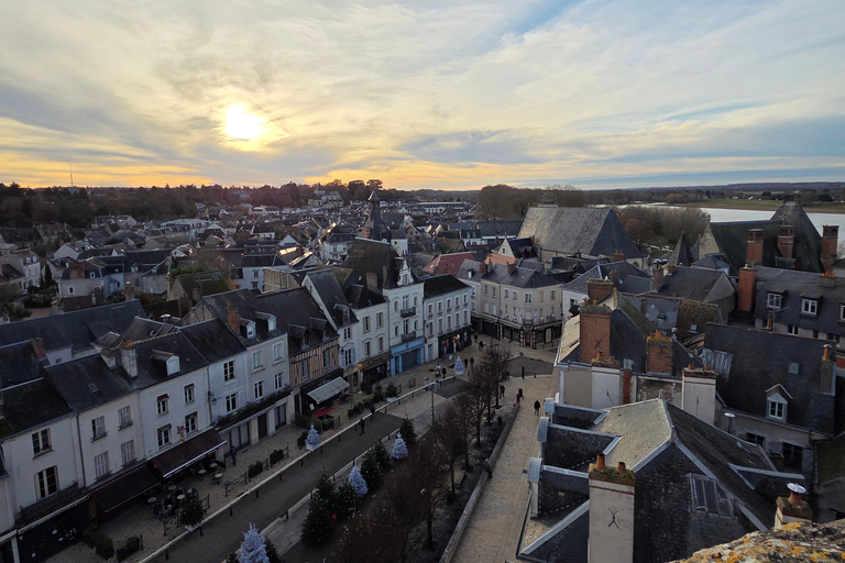 Loire Valley Wine Tour from Paris: 2 Wineries & 10 Tastings Premium Option