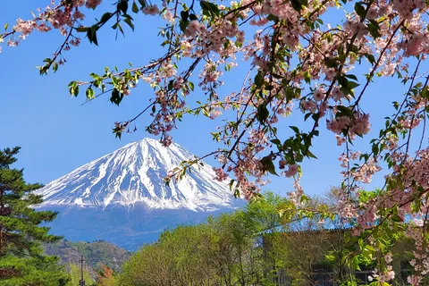Guided Mt Fuji Private Tour GREEN NUMBER PLATES