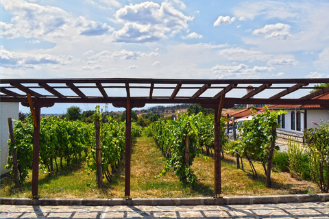 Plovdiv: Starosel Thracian Temples, Spa, and Wine Tour