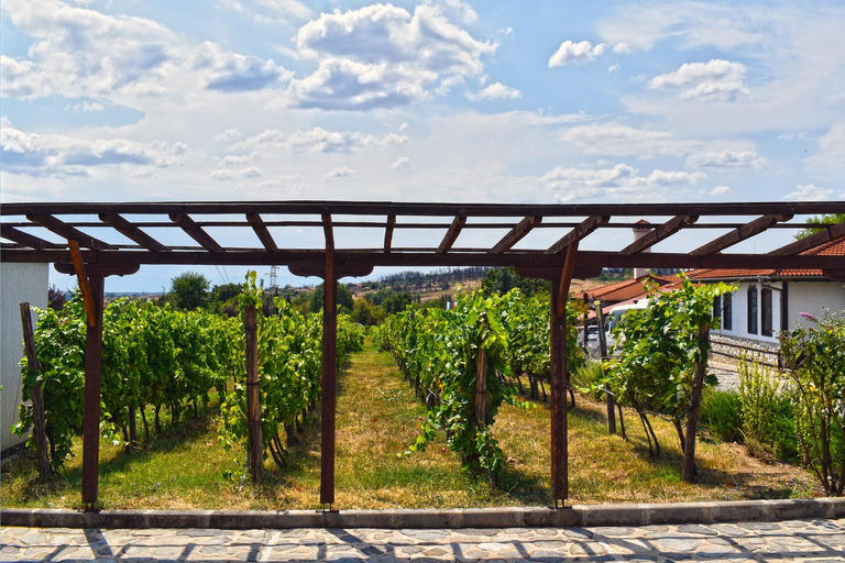 Plovdiv: Starosel Thracian Temples, Spa, and Wine Tour